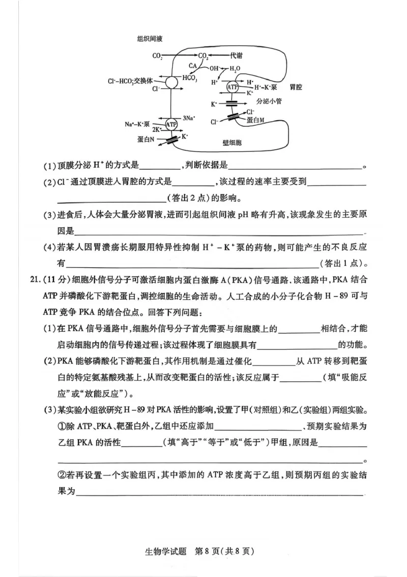 生物试卷-2025-2026学年河南天一大联考高一年级12月阶段性诊断_2025年12月高一试卷_251220河南省天一大联考2025-2026学年高一上学期12月阶段性检测
