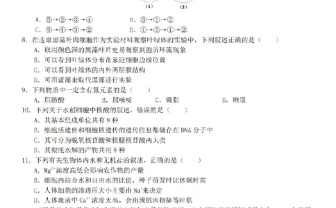 生物卷-2511高一G5联盟_2025年12月高一试卷_251208浙江省G5联盟2025-2026学年高一上学期11月期中考试（全）_浙江省G5联盟2025-2026学年高一上学期11月期中考试生物试题含答案