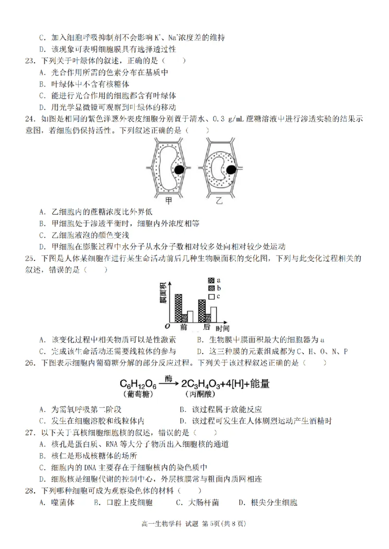 生物卷-2511高一G5联盟_2025年12月高一试卷_251208浙江省G5联盟2025-2026学年高一上学期11月期中考试（全）_浙江省G5联盟2025-2026学年高一上学期11月期中考试生物试题含答案