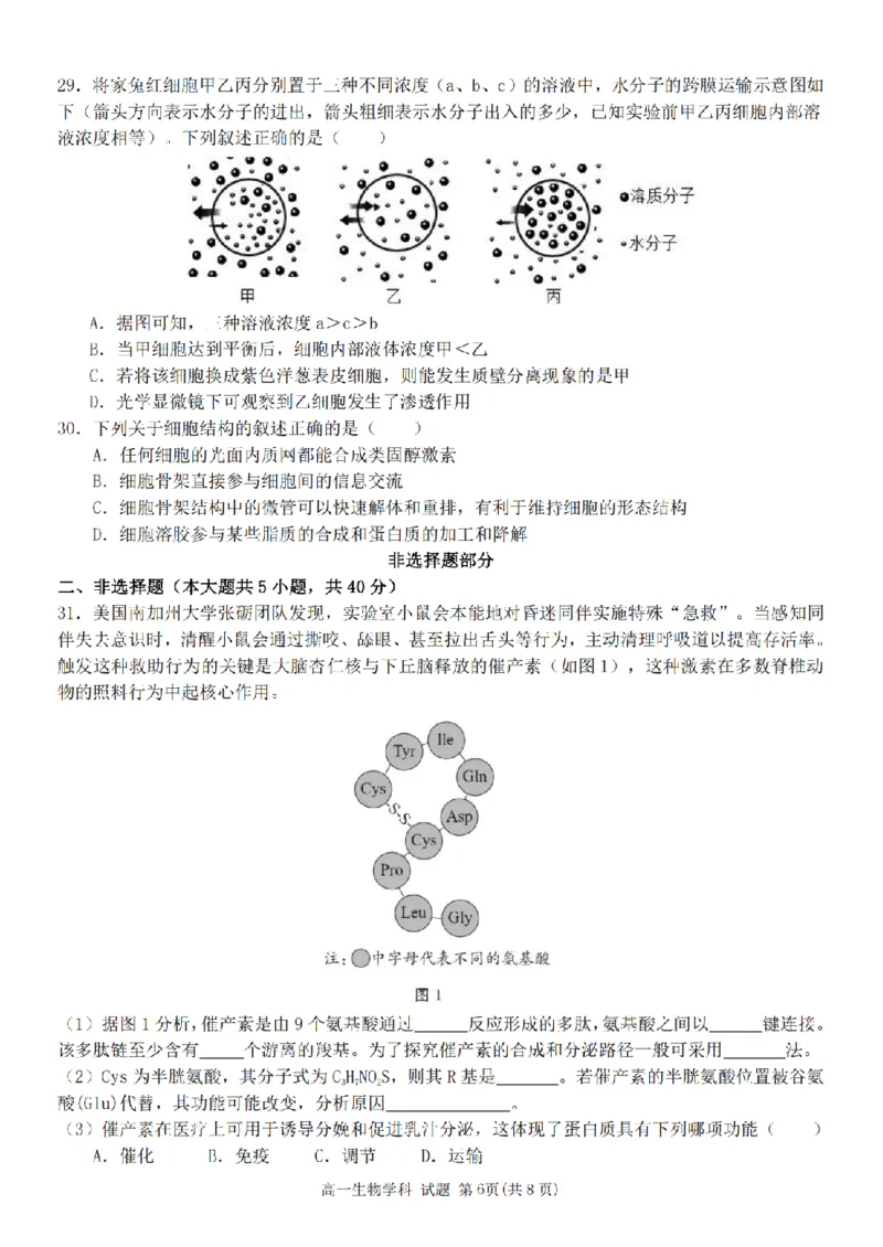 生物卷-2511高一G5联盟_2025年12月高一试卷_251208浙江省G5联盟2025-2026学年高一上学期11月期中考试（全）_浙江省G5联盟2025-2026学年高一上学期11月期中考试生物试题含答案