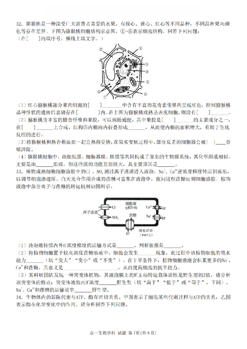 生物卷-2511高一G5联盟_2025年12月高一试卷_251208浙江省G5联盟2025-2026学年高一上学期11月期中考试（全）_浙江省G5联盟2025-2026学年高一上学期11月期中考试生物试题含答案