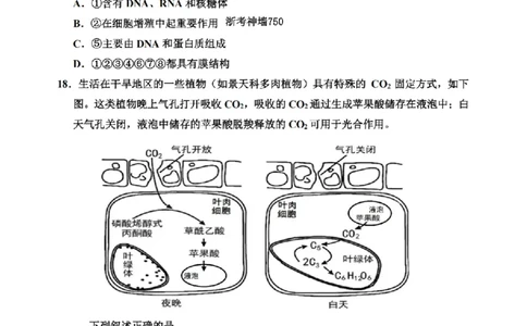 生物卷-2601嘉兴高一期末_2026年02月高一试卷_260213浙江省嘉兴市2025-2026学年高一上学期期末（全）_浙江省嘉兴市2025-2026学年高一上学期1月期末生物试题含答案.zip