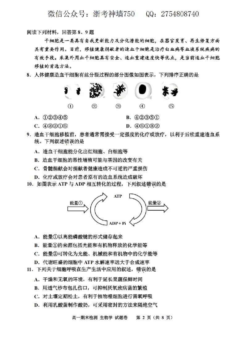 生物卷-2601嘉兴高一期末_2026年02月高一试卷_260213浙江省嘉兴市2025-2026学年高一上学期期末（全）_浙江省嘉兴市2025-2026学年高一上学期1月期末生物试题含答案.zip