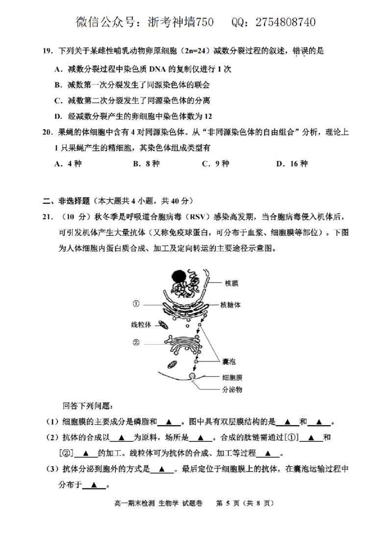 生物卷-2601嘉兴高一期末_2026年02月高一试卷_260213浙江省嘉兴市2025-2026学年高一上学期期末（全）_浙江省嘉兴市2025-2026学年高一上学期1月期末生物试题含答案.zip