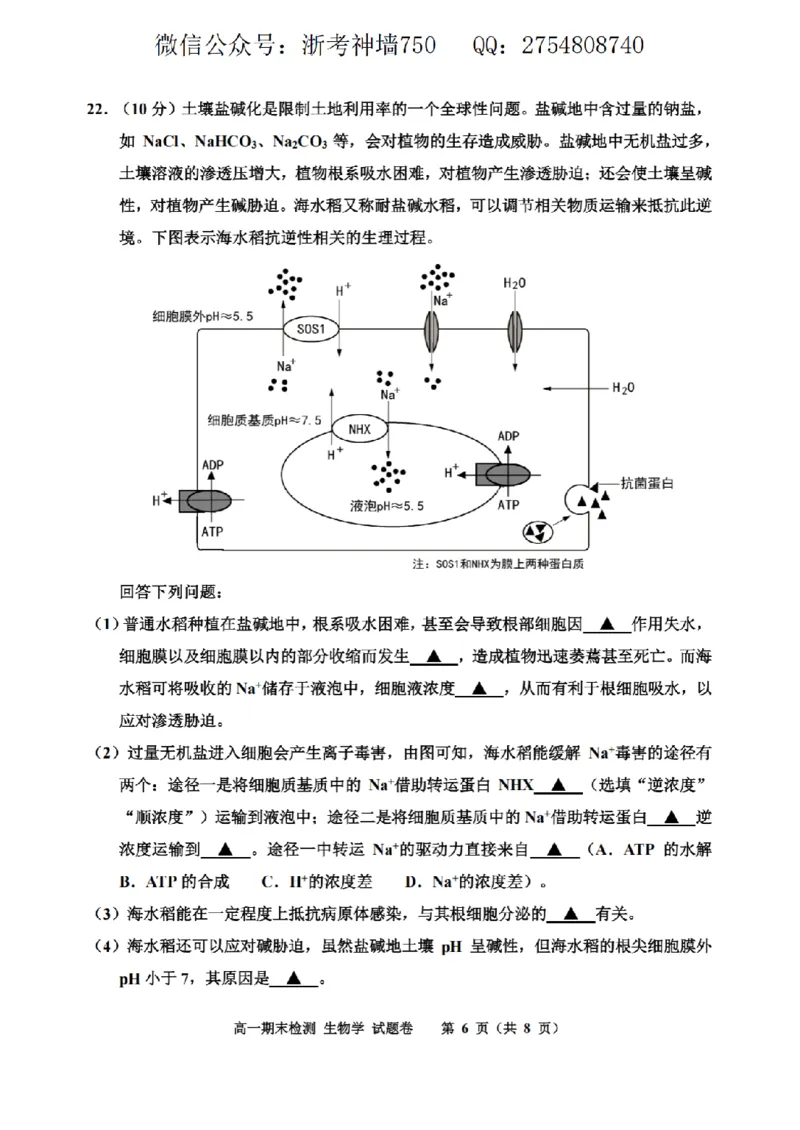 生物卷-2601嘉兴高一期末_2026年02月高一试卷_260213浙江省嘉兴市2025-2026学年高一上学期期末（全）_浙江省嘉兴市2025-2026学年高一上学期1月期末生物试题含答案.zip