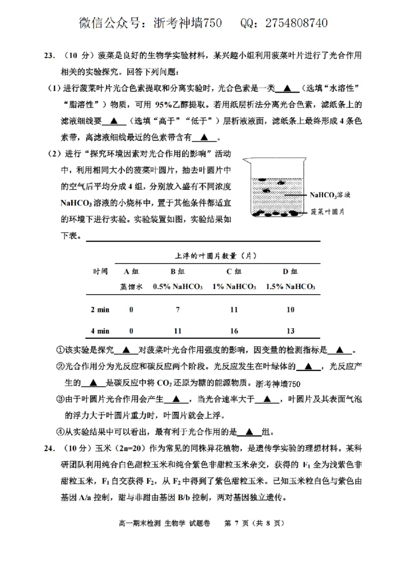 生物卷-2601嘉兴高一期末_2026年02月高一试卷_260213浙江省嘉兴市2025-2026学年高一上学期期末（全）_浙江省嘉兴市2025-2026学年高一上学期1月期末生物试题含答案.zip