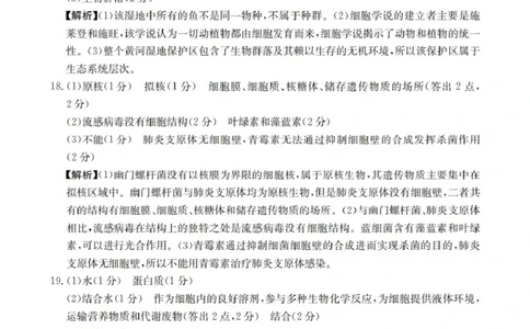 生物学答案_扫描版_2025年11月高一试卷_251102河南省南阳地区2025年秋季高一10月阶段考试卷（全）_河南省南阳地区2025-2026学年高一上学期10月阶段考试生物试题（图片版，含解析）