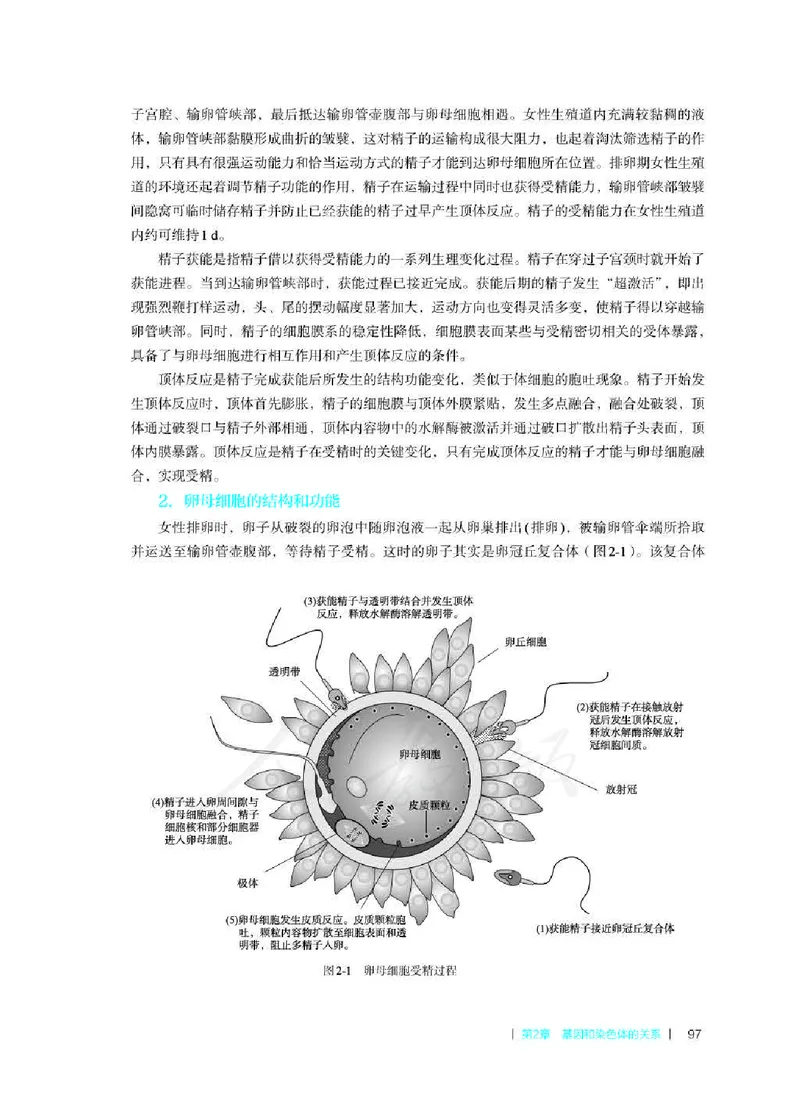 生物必修2遗传与进化教师用书_电子课本_高中教学用书_2019新人教版