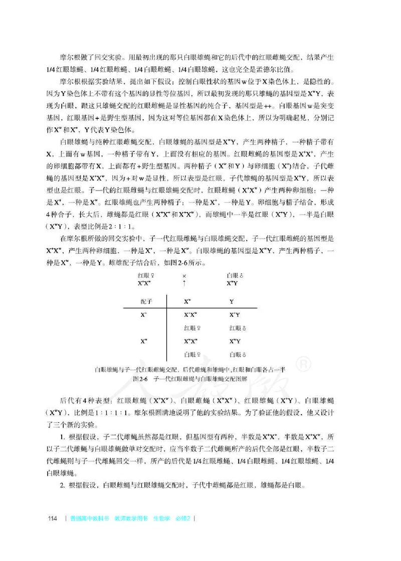 生物必修2遗传与进化教师用书_电子课本_高中教学用书_2019新人教版