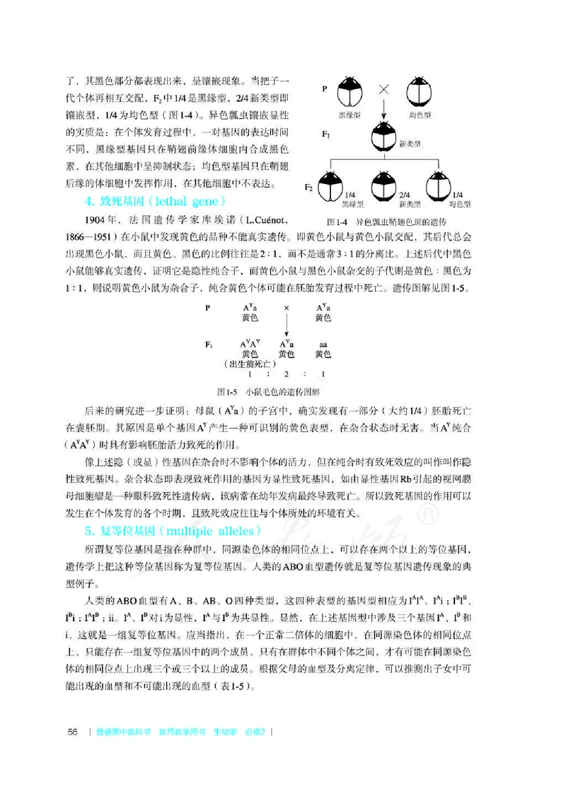生物必修2遗传与进化教师用书_电子课本_高中教学用书_2019新人教版