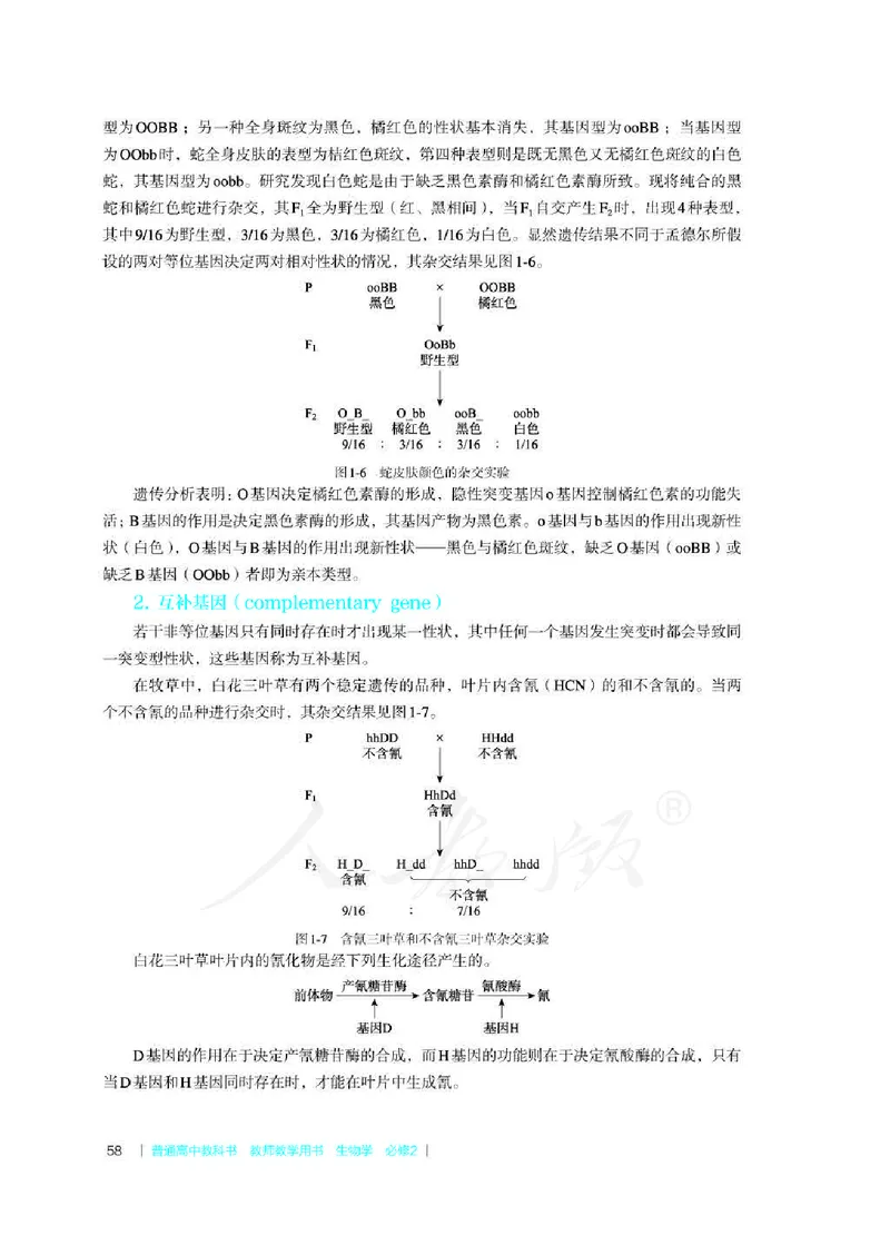 生物必修2遗传与进化教师用书_电子课本_高中教学用书_2019新人教版