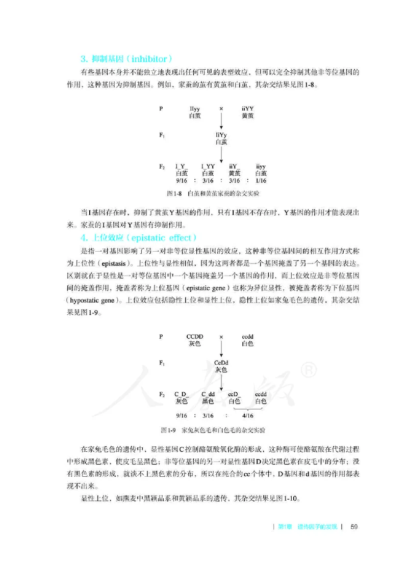 生物必修2遗传与进化教师用书_电子课本_高中教学用书_2019新人教版
