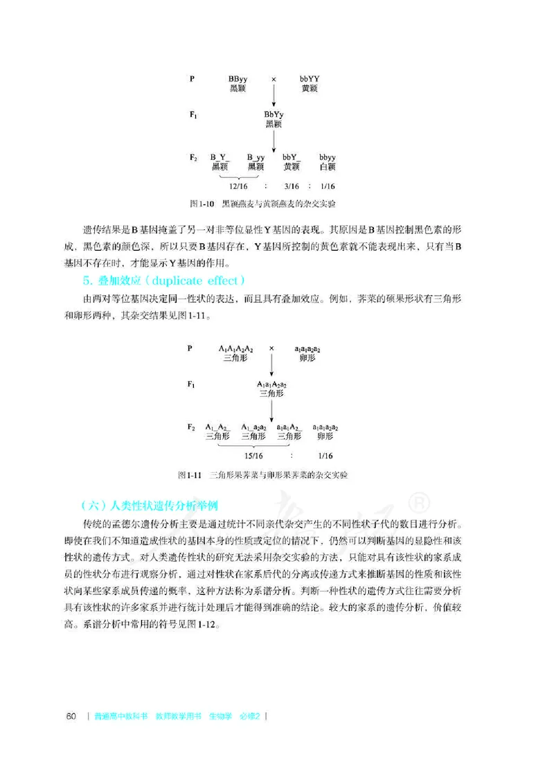 生物必修2遗传与进化教师用书_电子课本_高中教学用书_2019新人教版