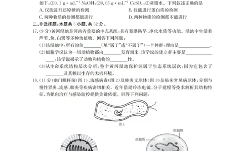 生物学_扫描版_2025年11月高一试卷_251102河南省南阳地区2025年秋季高一10月阶段考试卷（全）_河南省南阳地区2025-2026学年高一上学期10月阶段考试生物试题（图片版，含解析）