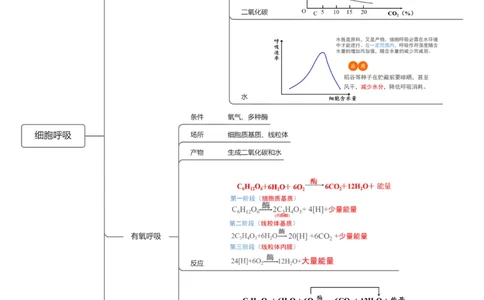 第09讲细胞呼吸（知识导图详细版）_2025年新高考资料_一轮复习_2025年高考生物一轮复习讲练测（新教材新高考）