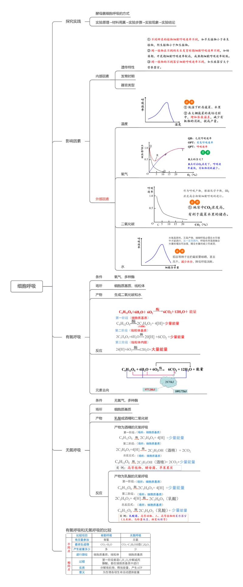 第09讲细胞呼吸（知识导图详细版）_2025年新高考资料_一轮复习_2025年高考生物一轮复习讲练测（新教材新高考）