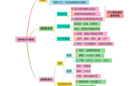 第09讲基因的本质和表达（配套讲义）（原卷版）_2025年新高考资料_二轮复习_01高考语文等多个文件_上好课2025年高考生物二轮复习讲练测（新高考通用）