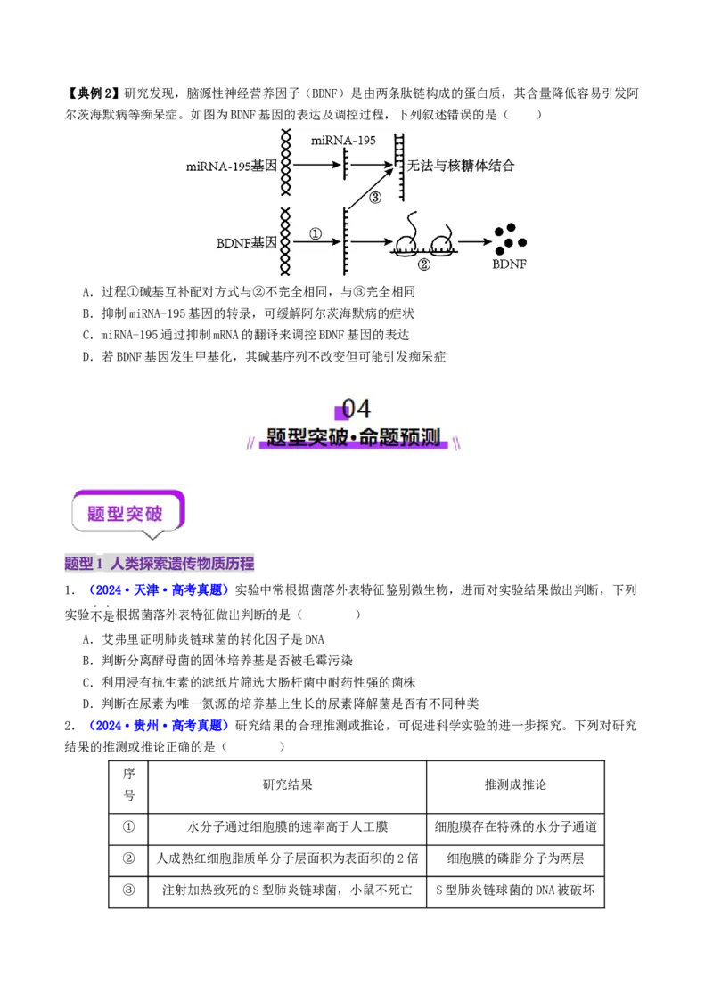 第09讲基因的本质和表达（配套讲义）（原卷版）_2025年新高考资料_二轮复习_01高考语文等多个文件_上好课2025年高考生物二轮复习讲练测（新高考通用）