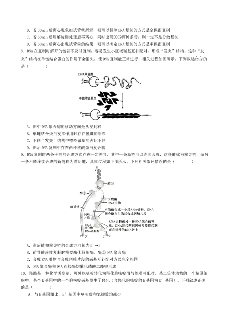 第09讲基因的本质和表达（配套讲义）（原卷版）_2025年新高考资料_二轮复习_01高考语文等多个文件_上好课2025年高考生物二轮复习讲练测（新高考通用）