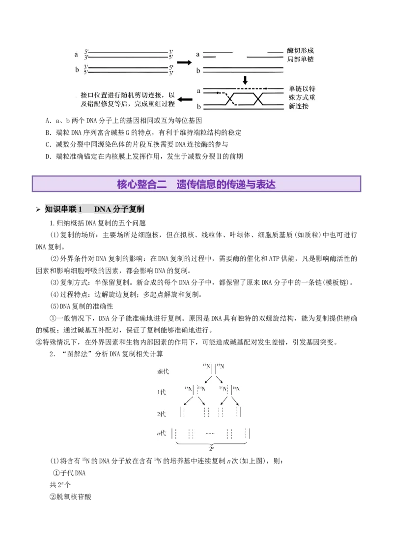 第09讲基因的本质和表达（配套讲义）（原卷版）_2025年新高考资料_二轮复习_01高考语文等多个文件_上好课2025年高考生物二轮复习讲练测（新高考通用）