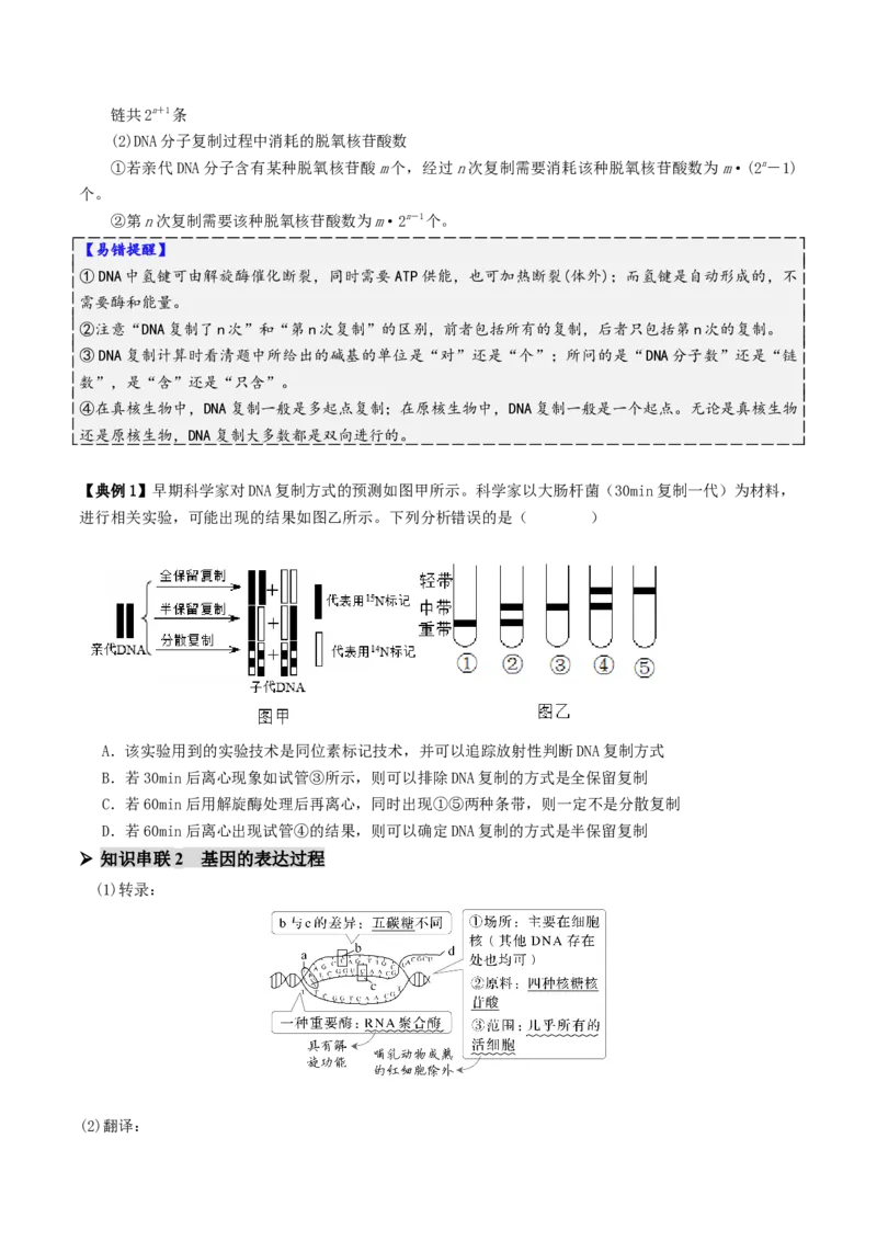 第09讲基因的本质和表达（配套讲义）（原卷版）_2025年新高考资料_二轮复习_01高考语文等多个文件_上好课2025年高考生物二轮复习讲练测（新高考通用）