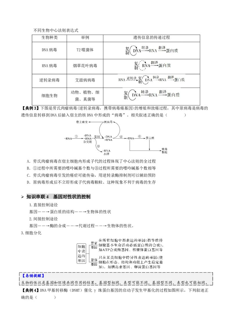 第09讲基因的本质和表达（配套讲义）（原卷版）_2025年新高考资料_二轮复习_01高考语文等多个文件_上好课2025年高考生物二轮复习讲练测（新高考通用）