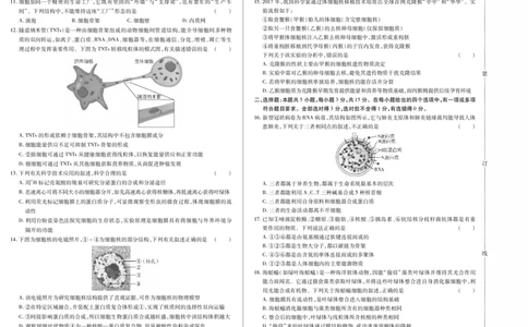 生物卷高一期中定稿_2025年11月高一试卷_251117黑龙江省绥化市新时代2025-2026学年高一上学期11月期中联考（全）_黑龙江省绥化市新时代2025-2026学年高一上学期11月期中联考生物试题含答案
