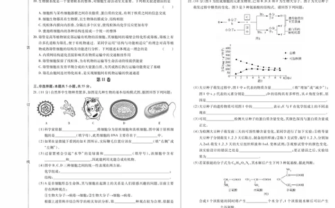 生物卷高一期中定稿_2025年11月高一试卷_251117黑龙江省绥化市新时代2025-2026学年高一上学期11月期中联考（全）_黑龙江省绥化市新时代2025-2026学年高一上学期11月期中联考生物试题含答案