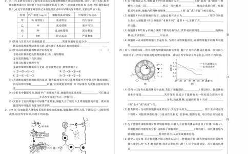 生物卷高一期中定稿_2025年11月高一试卷_251117黑龙江省绥化市新时代2025-2026学年高一上学期11月期中联考（全）_黑龙江省绥化市新时代2025-2026学年高一上学期11月期中联考生物试题含答案