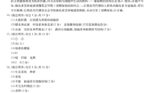 生物答案_2025年10月高一试卷_251018安徽省江淮名校2025-2026学年高一上学期阶段联考_安徽省江淮名校2025&mdash;2026学年高一上学期10月阶段联考生物试题（扫描版，有答案）