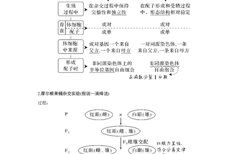 第15讲　伴性遗传和人类遗传病_新高考复习资料_2023年新高考复习资料_一轮复习_2023年新高考大一轮复习讲义_2023年高考生物一轮复习讲义（新人教新高考）_赠补充习题