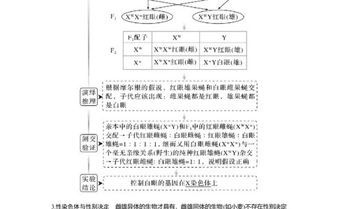 第15讲　伴性遗传和人类遗传病_新高考复习资料_2023年新高考复习资料_一轮复习_2023年新高考大一轮复习讲义_2023年高考生物一轮复习讲义（新人教新高考）_赠补充习题