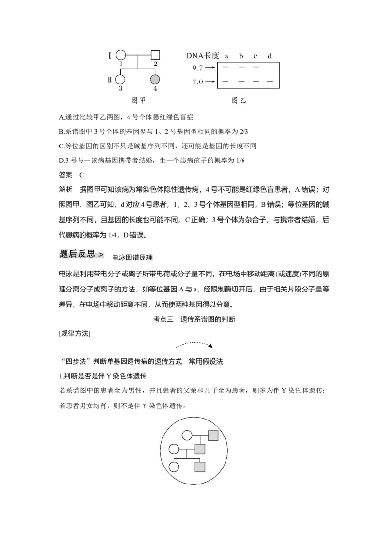 第15讲　伴性遗传和人类遗传病_新高考复习资料_2023年新高考复习资料_一轮复习_2023年新高考大一轮复习讲义_2023年高考生物一轮复习讲义（新人教新高考）_赠补充习题
