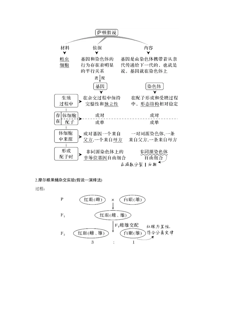 第15讲　伴性遗传和人类遗传病_新高考复习资料_2023年新高考复习资料_一轮复习_2023年新高考大一轮复习讲义_2023年高考生物一轮复习讲义（新人教新高考）_赠补充习题