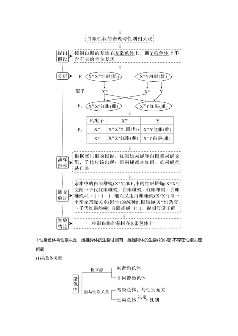 第15讲　伴性遗传和人类遗传病_新高考复习资料_2023年新高考复习资料_一轮复习_2023年新高考大一轮复习讲义_2023年高考生物一轮复习讲义（新人教新高考）_赠补充习题