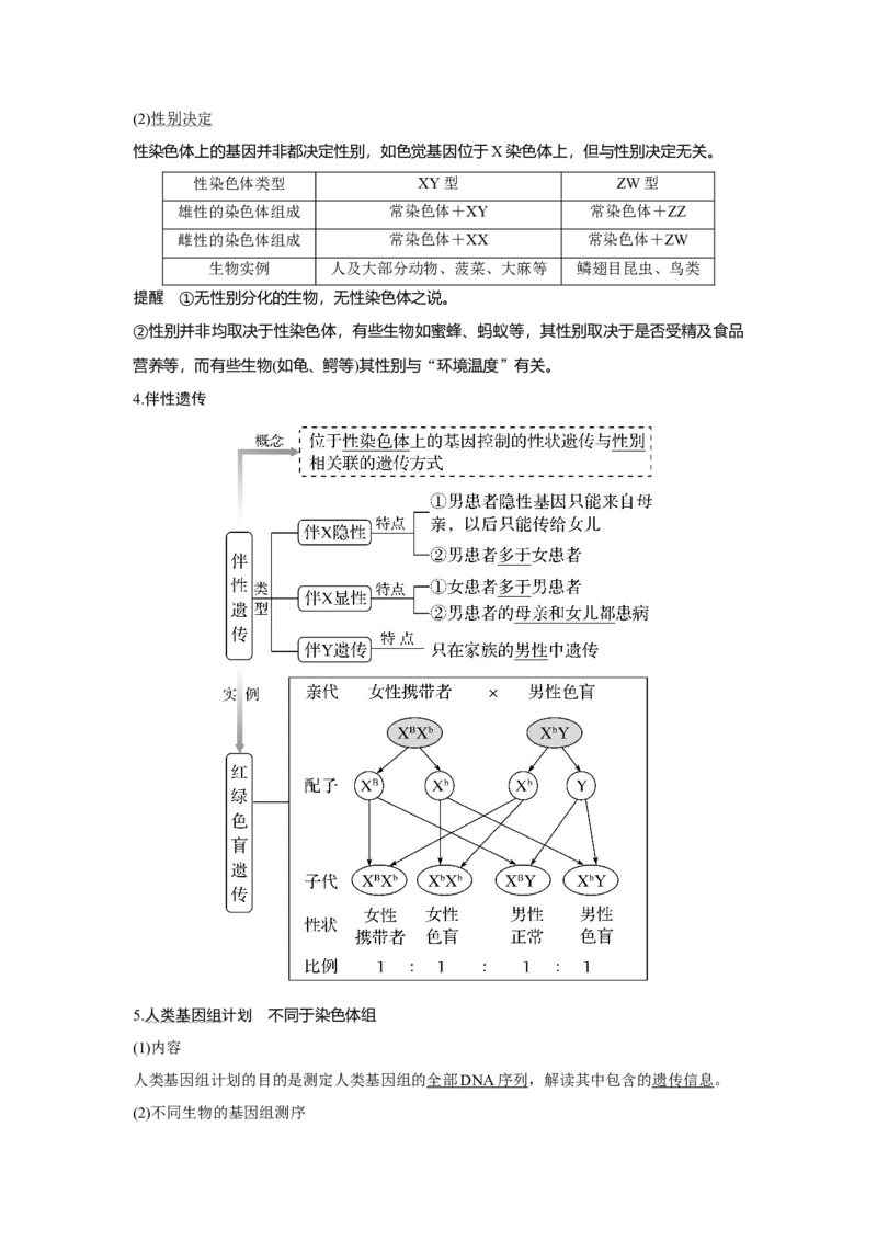 第15讲　伴性遗传和人类遗传病_新高考复习资料_2023年新高考复习资料_一轮复习_2023年新高考大一轮复习讲义_2023年高考生物一轮复习讲义（新人教新高考）_赠补充习题