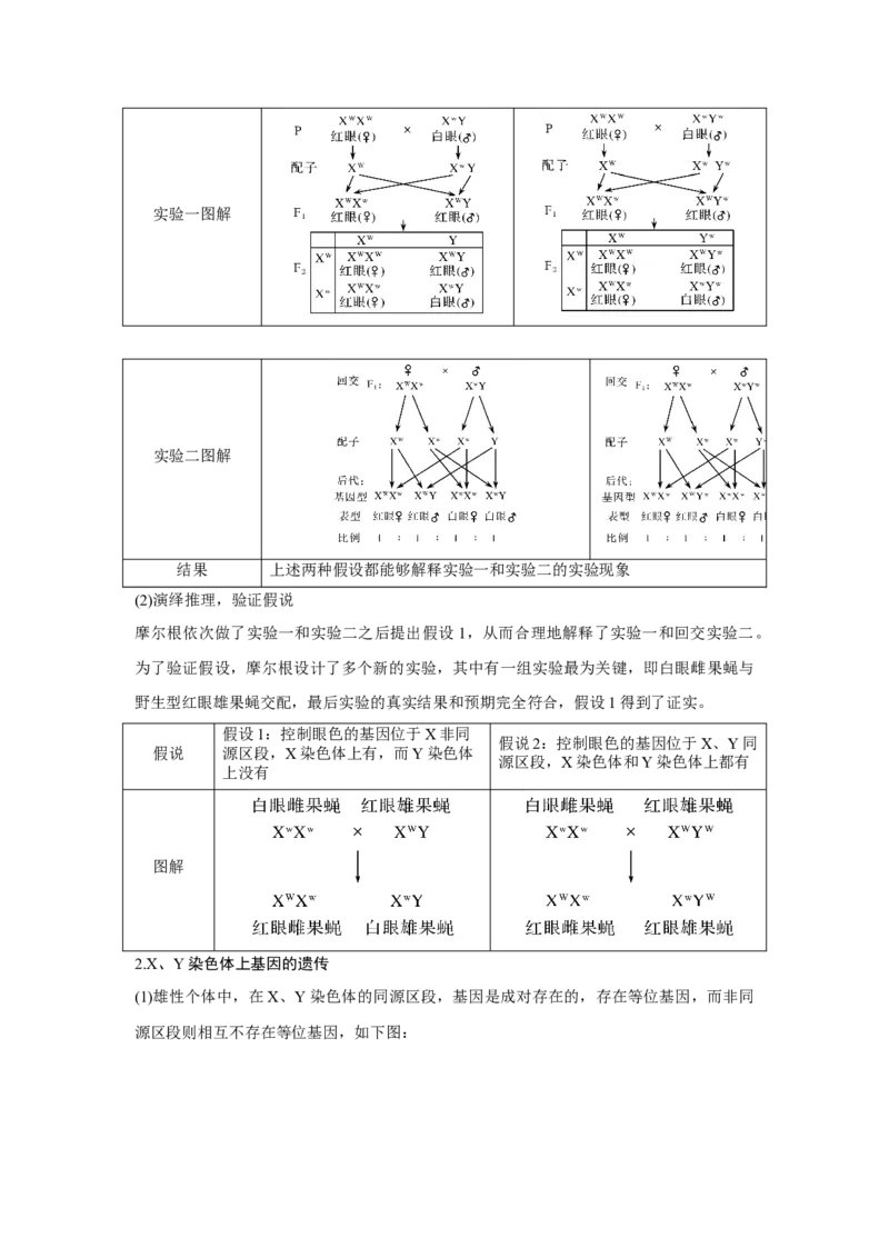 第15讲　伴性遗传和人类遗传病_新高考复习资料_2023年新高考复习资料_一轮复习_2023年新高考大一轮复习讲义_2023年高考生物一轮复习讲义（新人教新高考）_赠补充习题