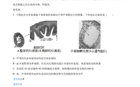 福建省福州市福9联盟校2024-2025学年高一上学期11月期中生物试题Word版含解析_2024年12月试卷_1207福建省福州市福九联盟2024-2025学年高一上学期期11月中考试