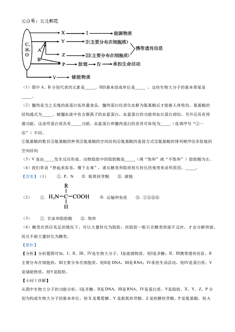 福建省福州市福9联盟校2024-2025学年高一上学期11月期中生物试题Word版含解析_2024年12月试卷_1207福建省福州市福九联盟2024-2025学年高一上学期期11月中考试