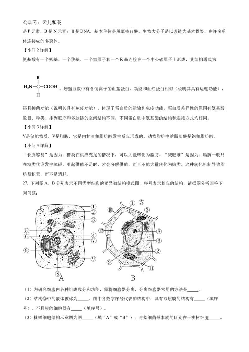 福建省福州市福9联盟校2024-2025学年高一上学期11月期中生物试题Word版含解析_2024年12月试卷_1207福建省福州市福九联盟2024-2025学年高一上学期期11月中考试