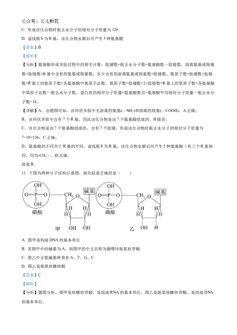福建省福州市福9联盟校2024-2025学年高一上学期11月期中生物试题Word版含解析_2024年12月试卷_1207福建省福州市福九联盟2024-2025学年高一上学期期11月中考试