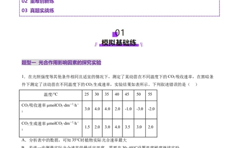 第10讲光合作用（第二课时）（练习）（原卷版）_2025年新高考资料_一轮复习_2025年高考生物一轮复习讲练测（新教材新高考）