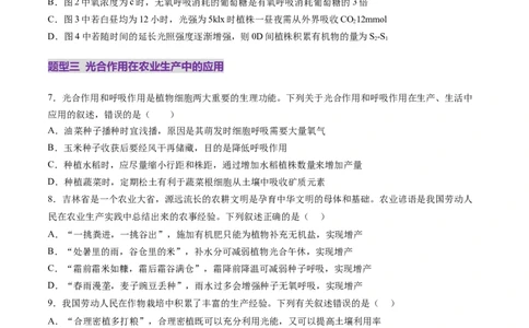 第10讲光合作用（第二课时）（练习）（原卷版）_2025年新高考资料_一轮复习_2025年高考生物一轮复习讲练测（新教材新高考）