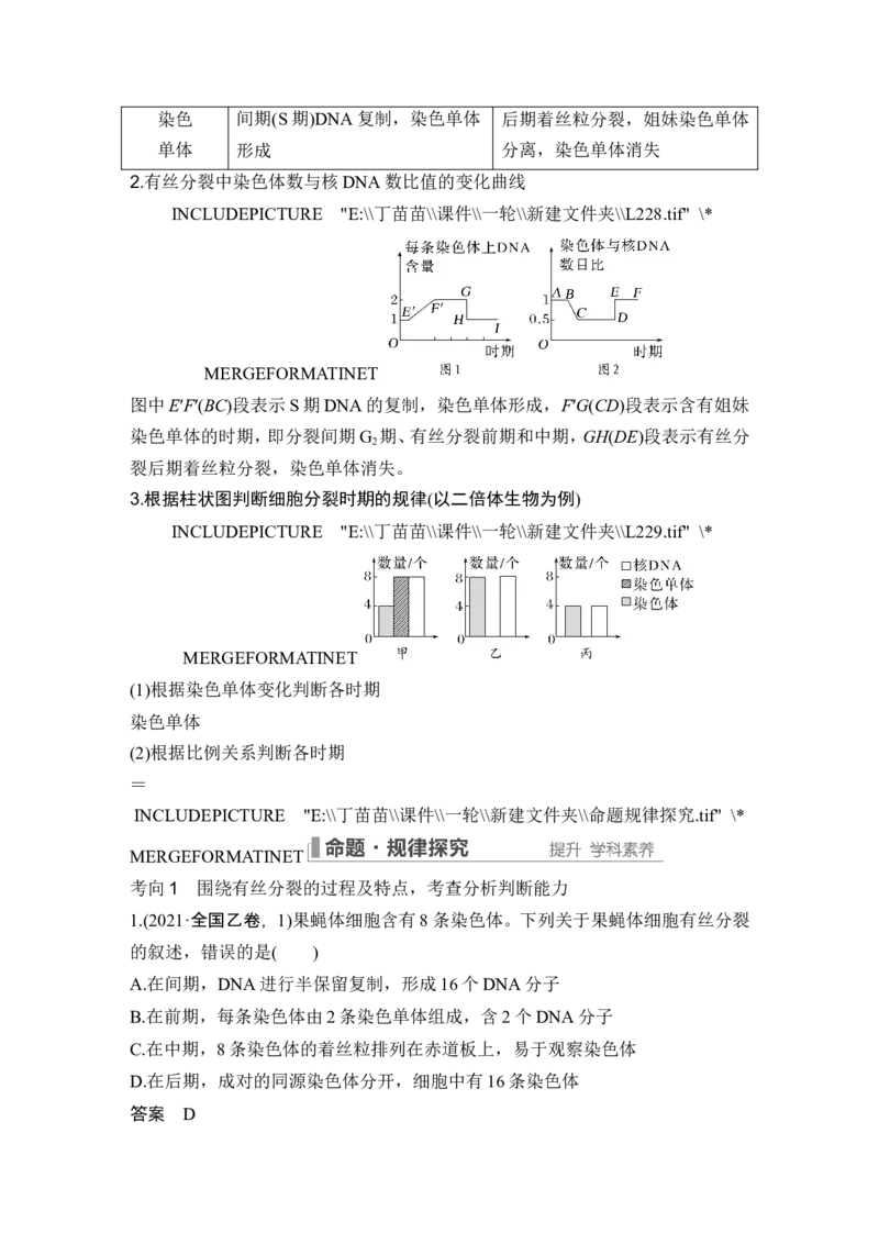 第10讲细胞的增殖_新高考复习资料_2024年新高考复习资料_一轮复习资料_完2024生物步步高大一轮复习（课件+讲义）_2024年高考生物一轮复习讲义（新人教版）_另附1套Word版题库_必修1