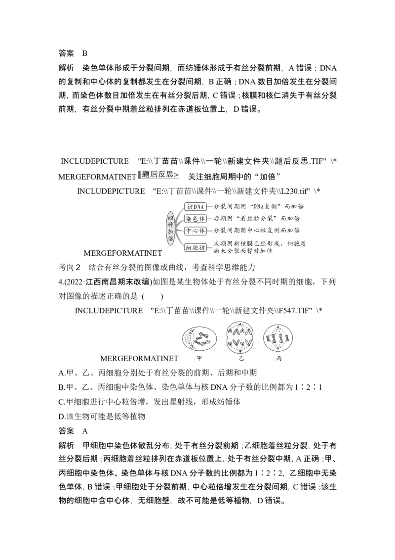 第10讲细胞的增殖_新高考复习资料_2024年新高考复习资料_一轮复习资料_完2024生物步步高大一轮复习（课件+讲义）_2024年高考生物一轮复习讲义（新人教版）_另附1套Word版题库_必修1