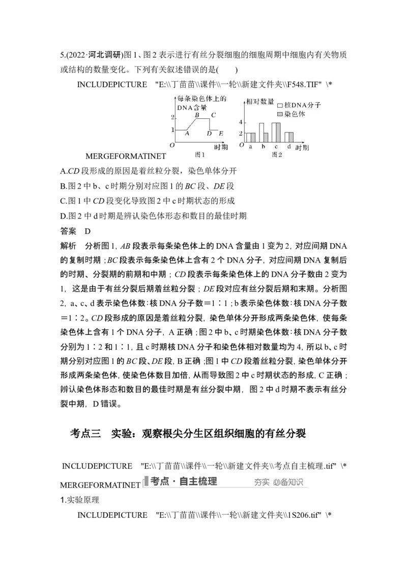第10讲细胞的增殖_新高考复习资料_2024年新高考复习资料_一轮复习资料_完2024生物步步高大一轮复习（课件+讲义）_2024年高考生物一轮复习讲义（新人教版）_另附1套Word版题库_必修1