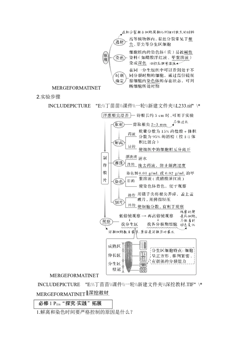 第10讲细胞的增殖_新高考复习资料_2024年新高考复习资料_一轮复习资料_完2024生物步步高大一轮复习（课件+讲义）_2024年高考生物一轮复习讲义（新人教版）_另附1套Word版题库_必修1