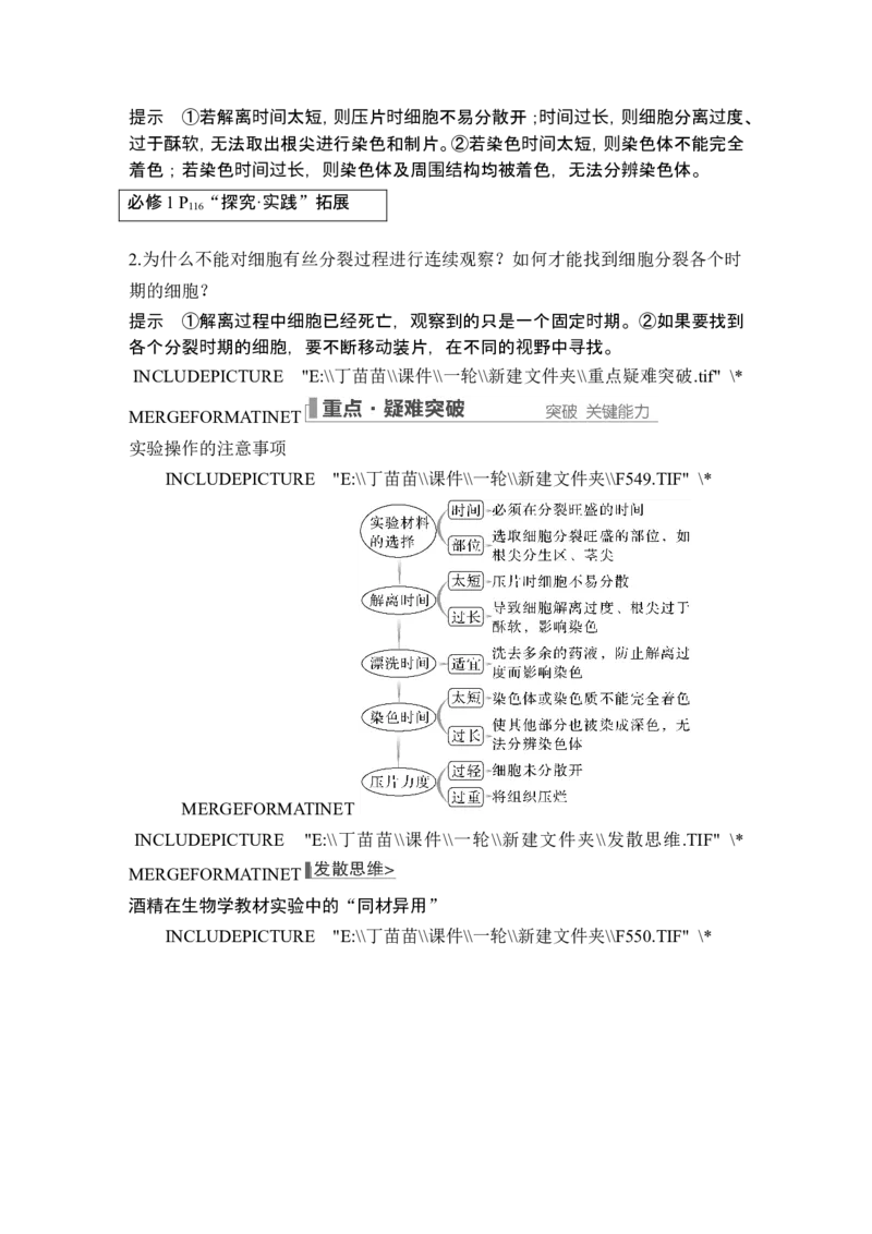 第10讲细胞的增殖_新高考复习资料_2024年新高考复习资料_一轮复习资料_完2024生物步步高大一轮复习（课件+讲义）_2024年高考生物一轮复习讲义（新人教版）_另附1套Word版题库_必修1