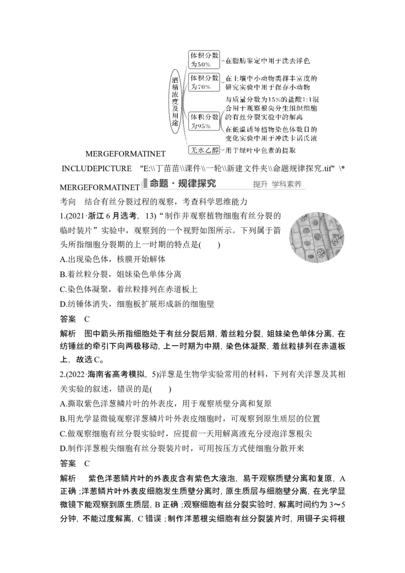 第10讲细胞的增殖_新高考复习资料_2024年新高考复习资料_一轮复习资料_完2024生物步步高大一轮复习（课件+讲义）_2024年高考生物一轮复习讲义（新人教版）_另附1套Word版题库_必修1