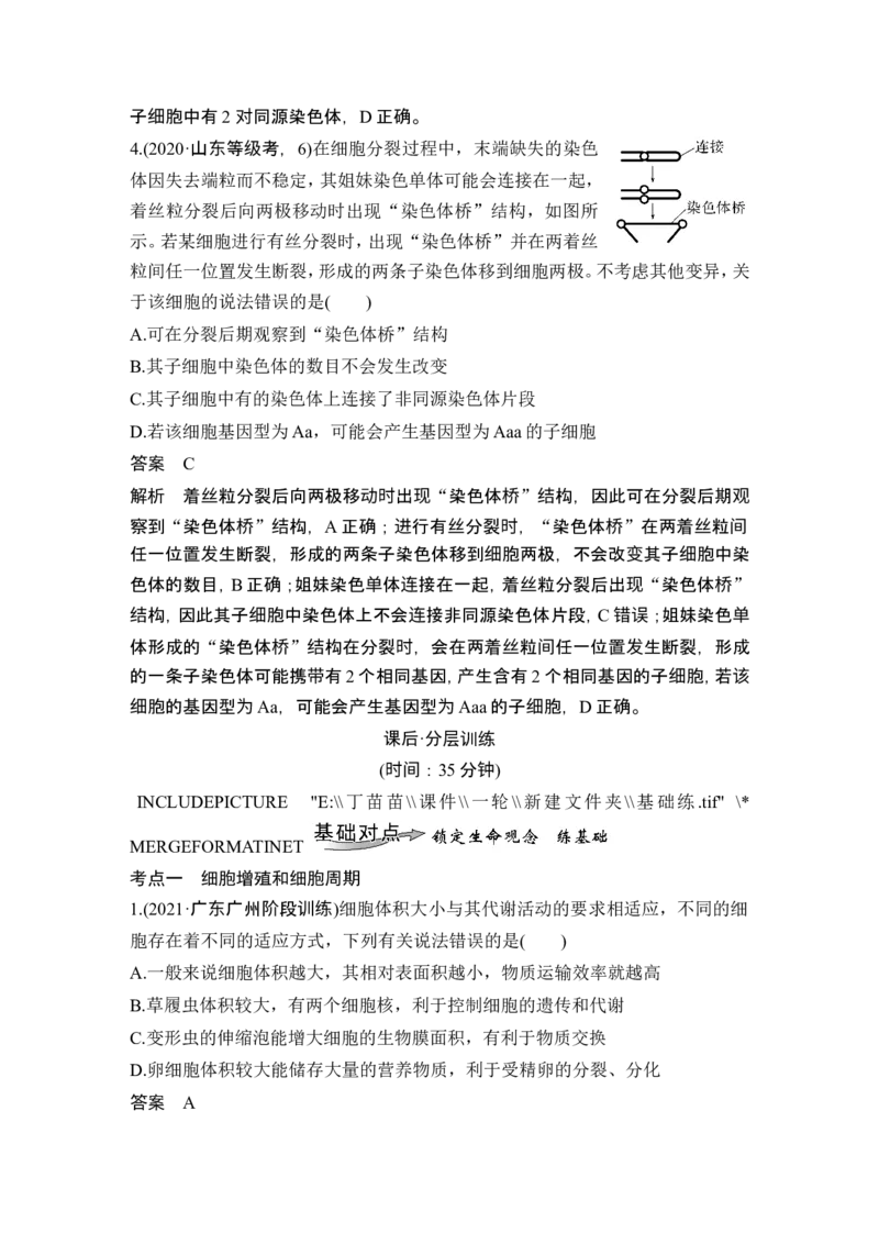 第10讲细胞的增殖_新高考复习资料_2024年新高考复习资料_一轮复习资料_完2024生物步步高大一轮复习（课件+讲义）_2024年高考生物一轮复习讲义（新人教版）_另附1套Word版题库_必修1